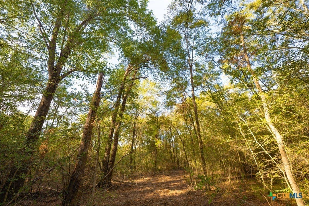 3.51 acres in Robertson County - photo 8