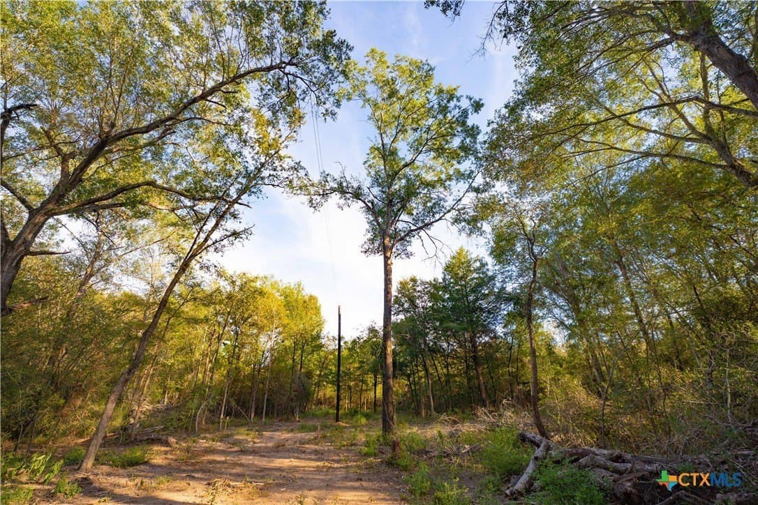 3.51 acres in Robertson County - photo 18