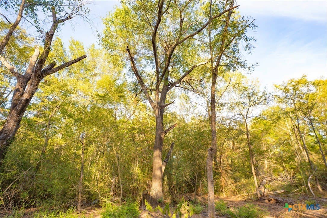 3.51 acres in Robertson County - photo 11