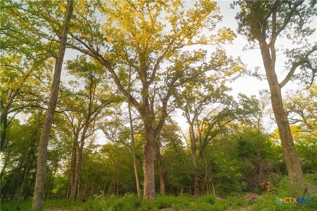 3.51 acres in Robertson County - photo 4