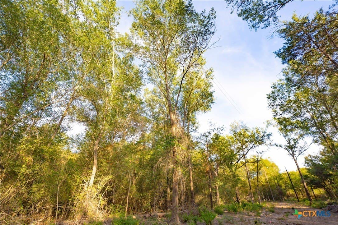 3.51 acres in Robertson County - photo 13