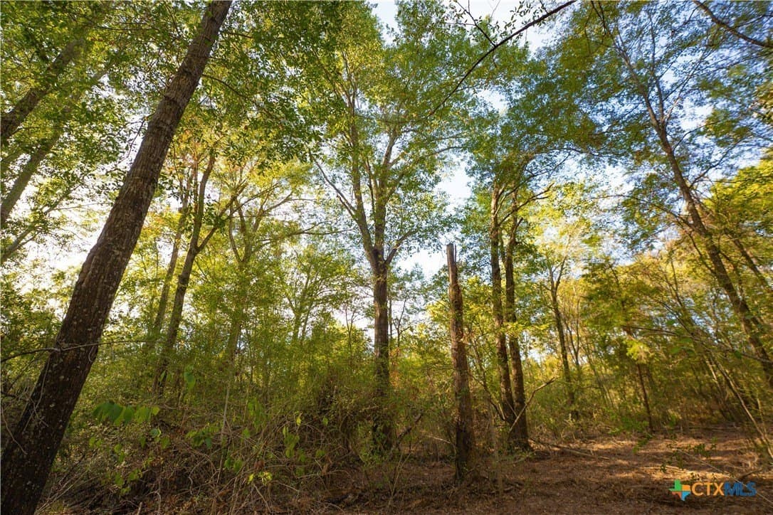 3.51 acres in Robertson County - photo 7