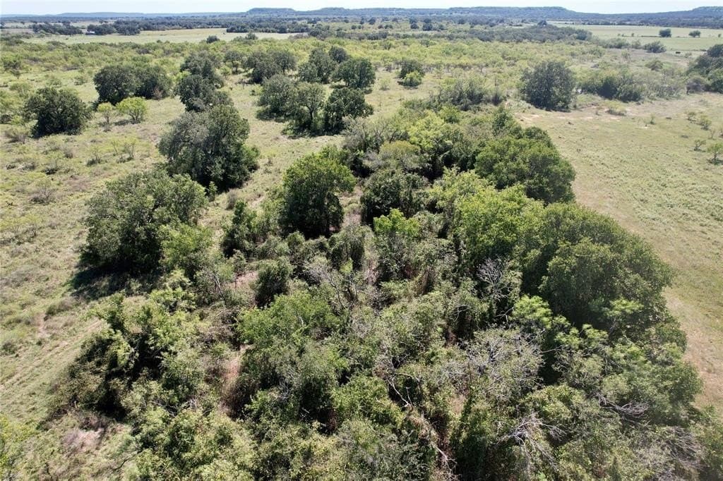 157.5 acres in Comanche County gallery image 3