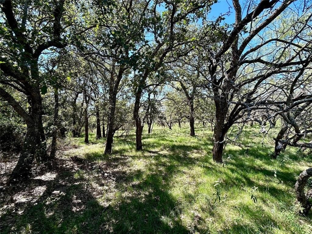 157.5 acres in Comanche County gallery image 4
