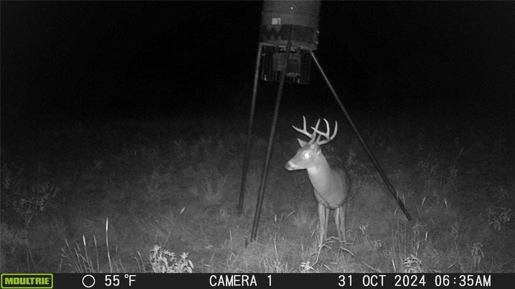 157.5 acres in Comanche County featured view