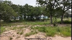 1 acres in Somervell County gallery image 2