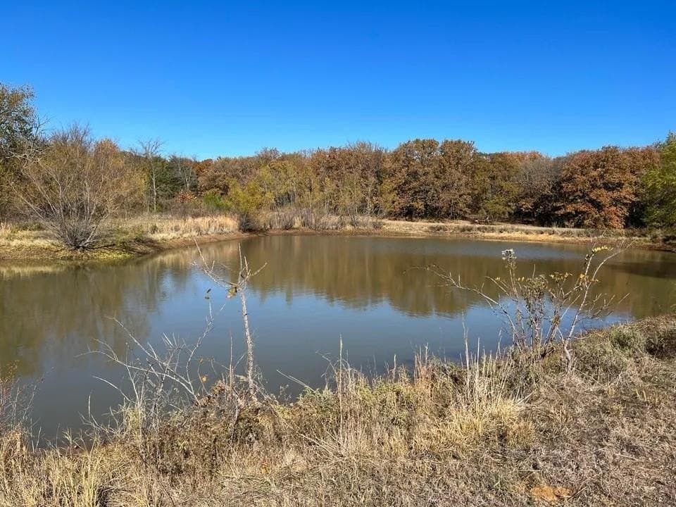 51.82 acres in Cooke County gallery image 4