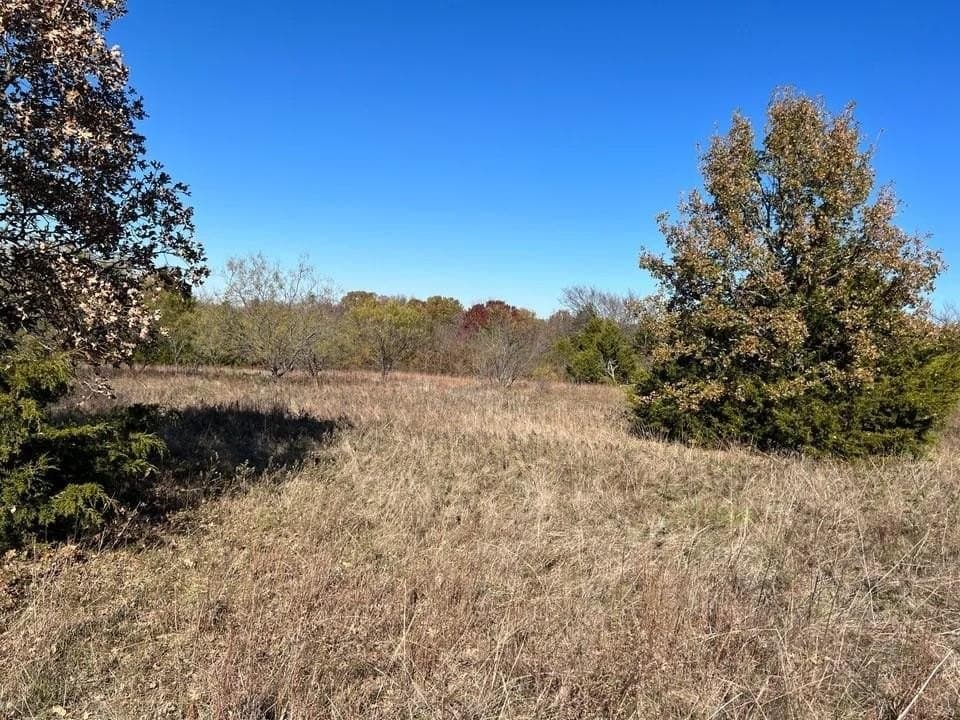 51.82 acres in Cooke County featured view