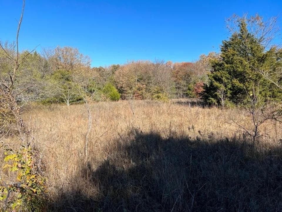 51.82 acres in Cooke County