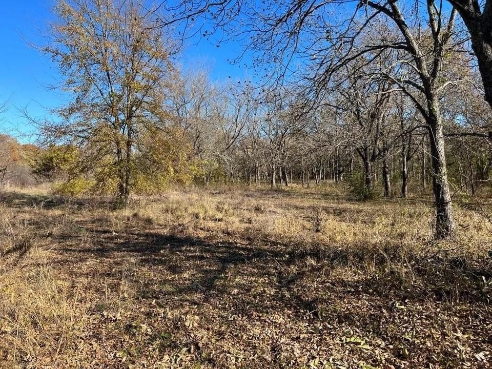 51.82 acres in Cooke County gallery image 2