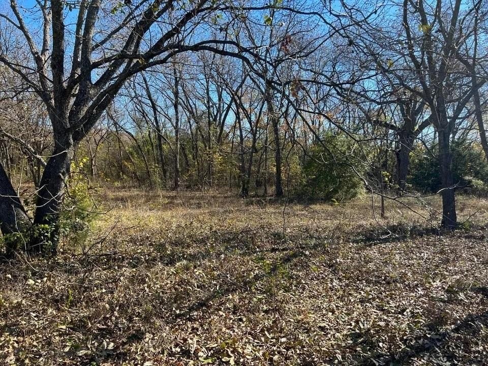 51.82 acres in Cooke County gallery image 3