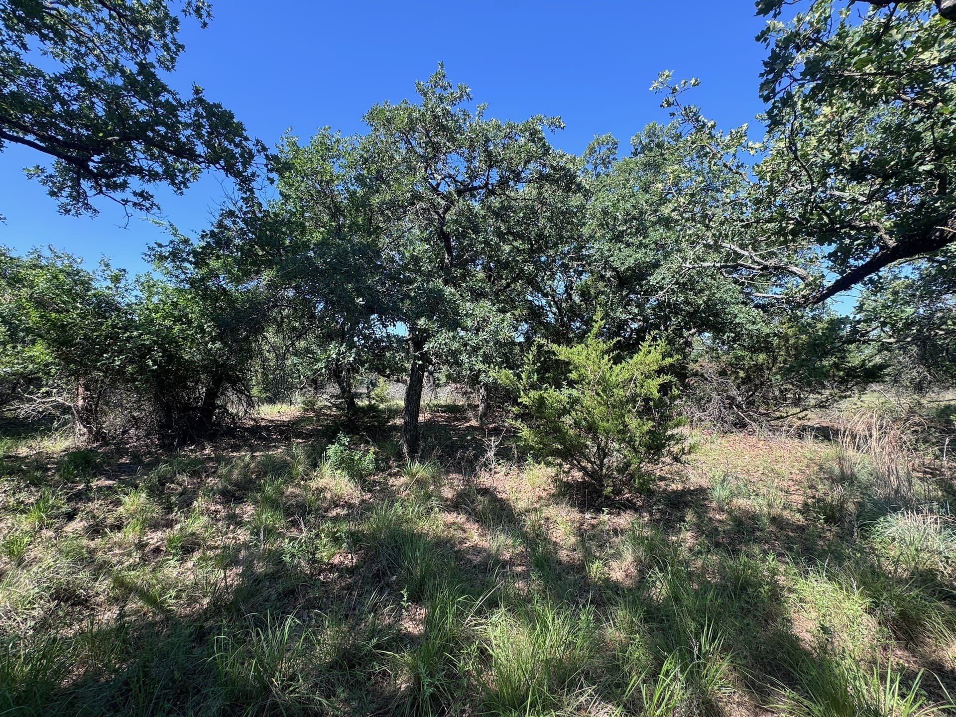 1.34 acres in Palo Pinto County gallery image 4
