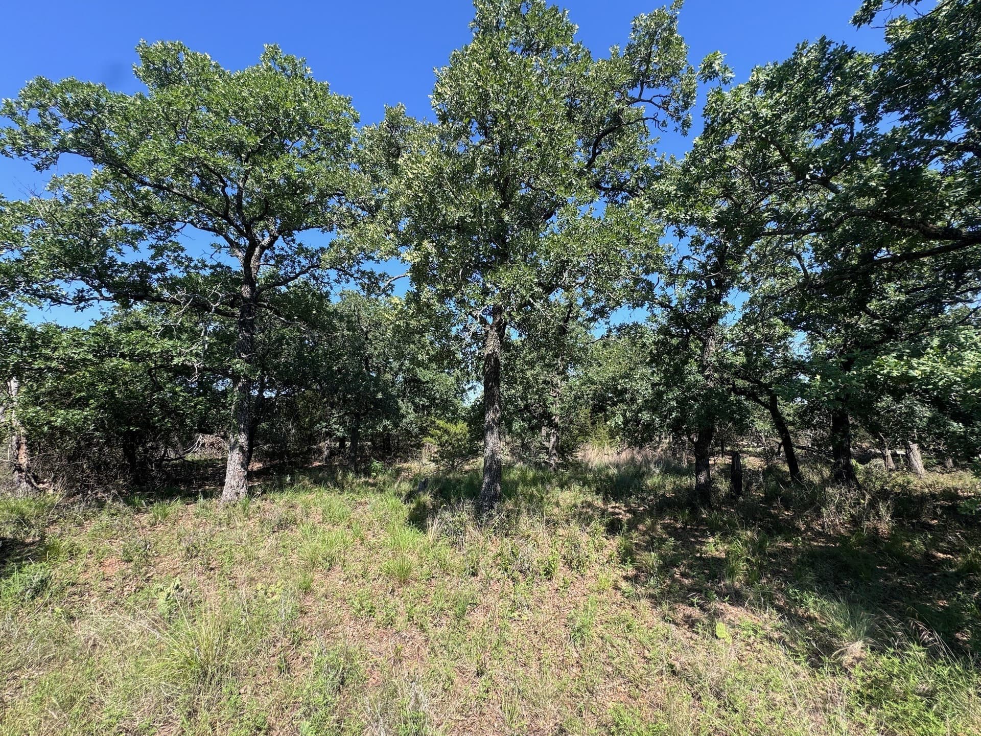 1.34 acres in Palo Pinto County - photo 6