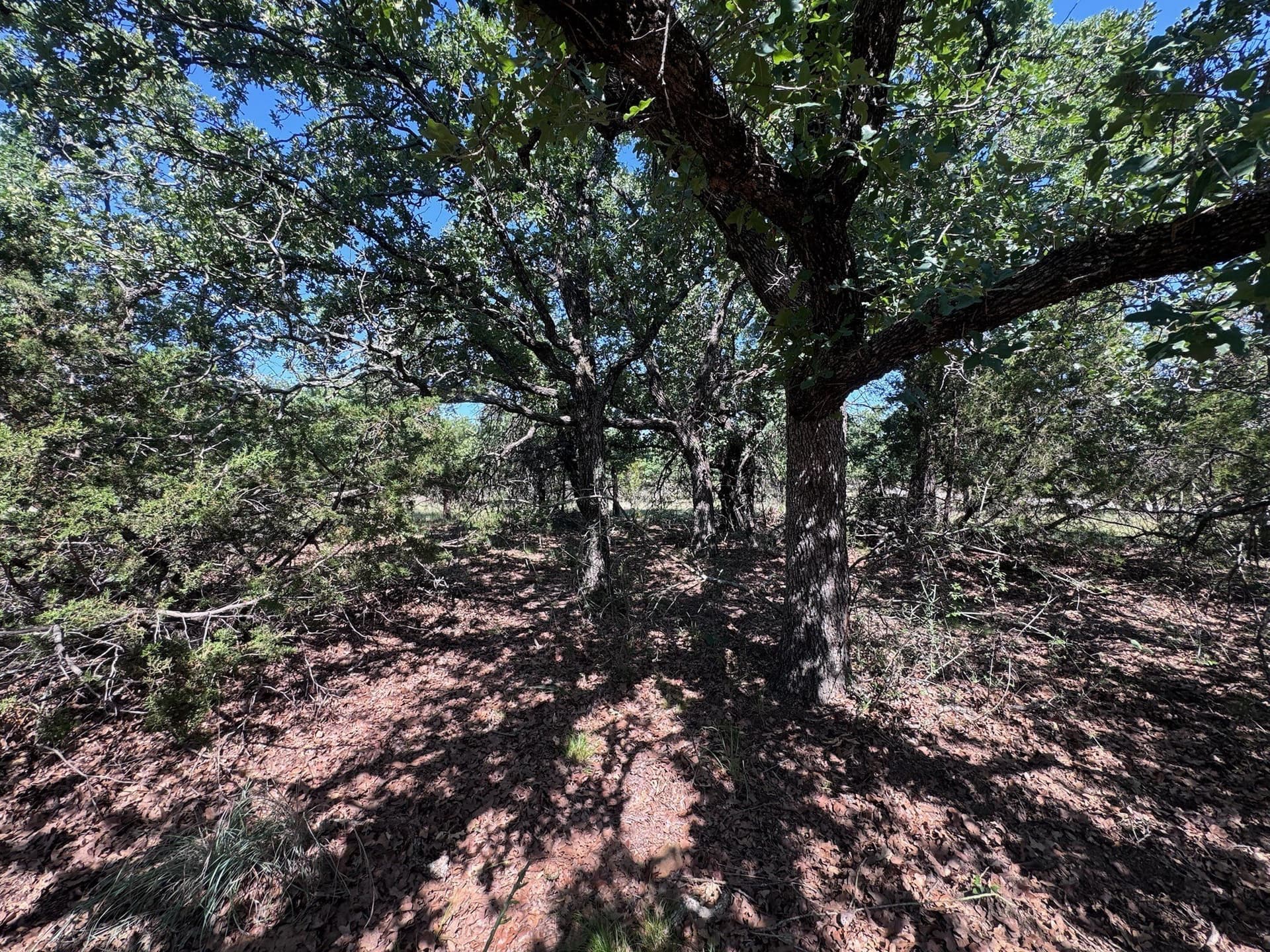 1.34 acres in Palo Pinto County gallery image 2