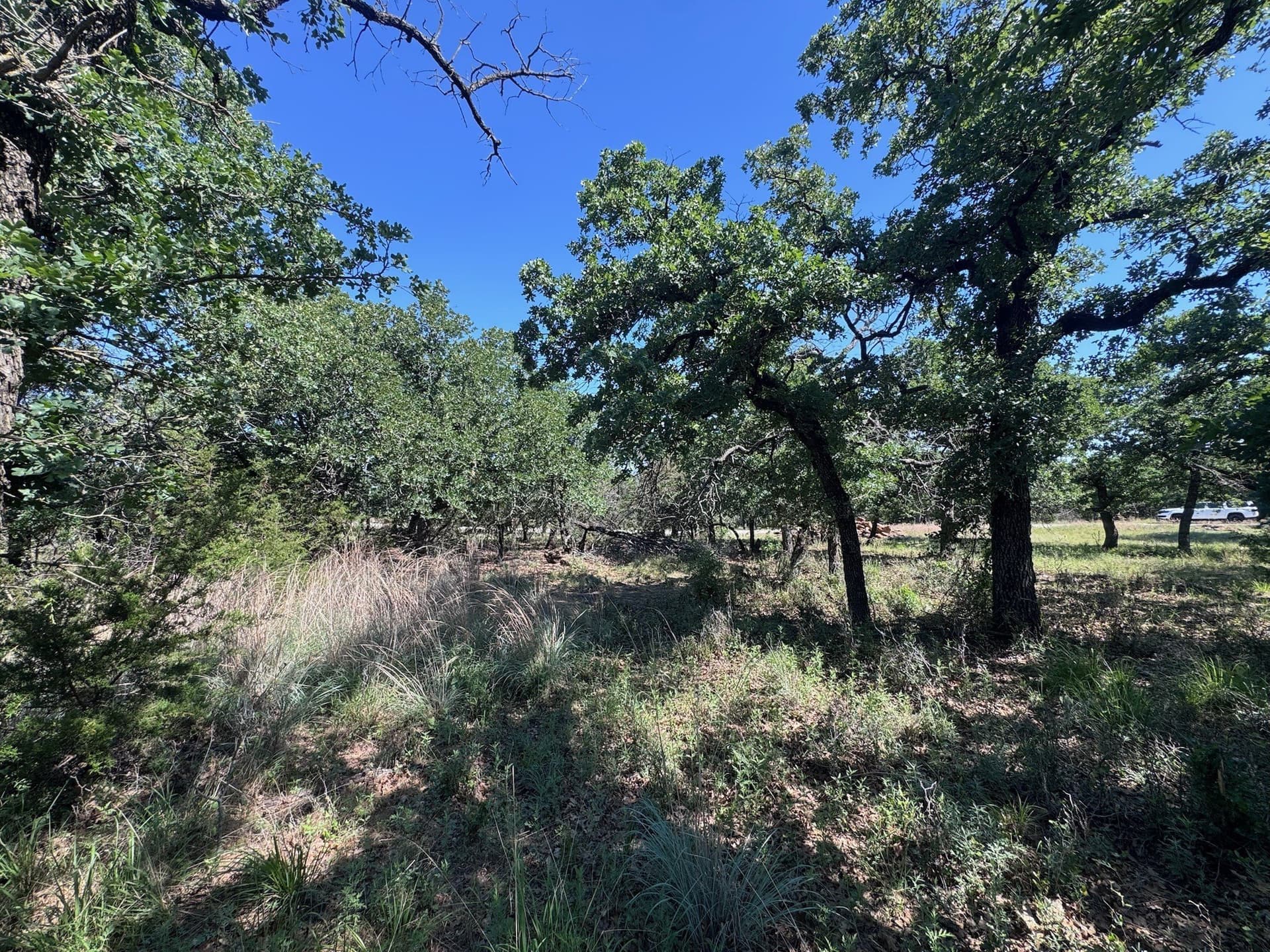 1.34 acres in Palo Pinto County featured view