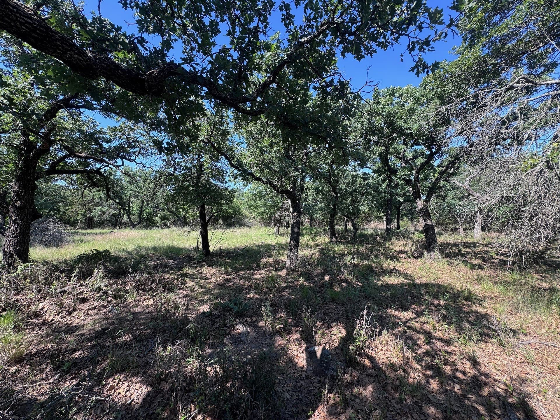 1.34 acres in Palo Pinto County - photo 7