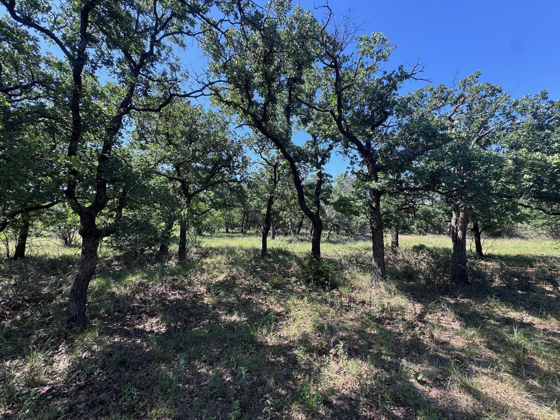 1.34 acres in Palo Pinto County - photo 8