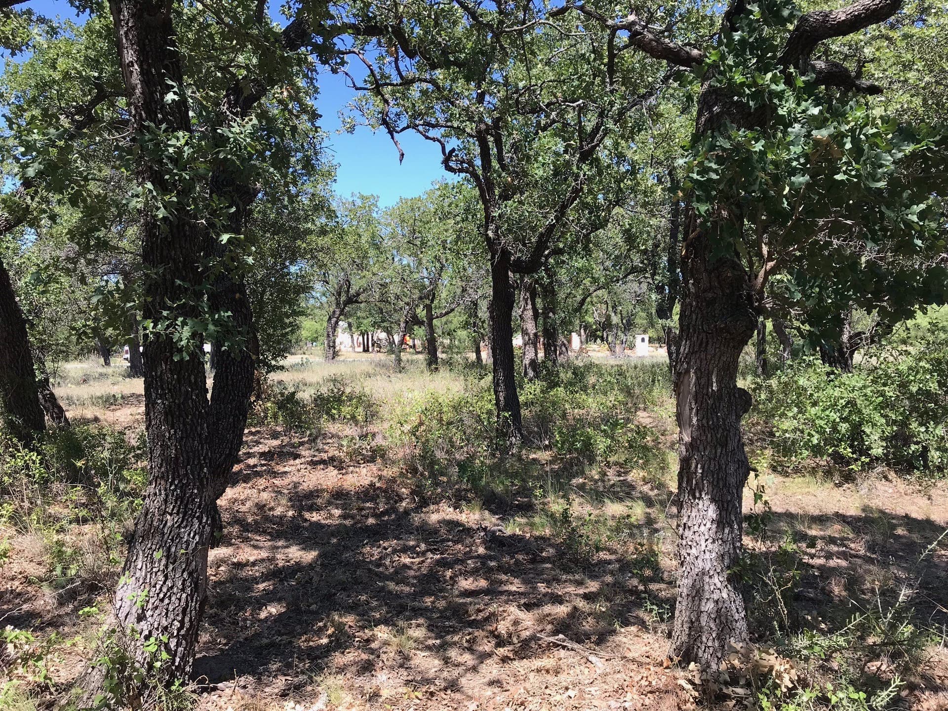 1.34 acres in Palo Pinto County - photo 9