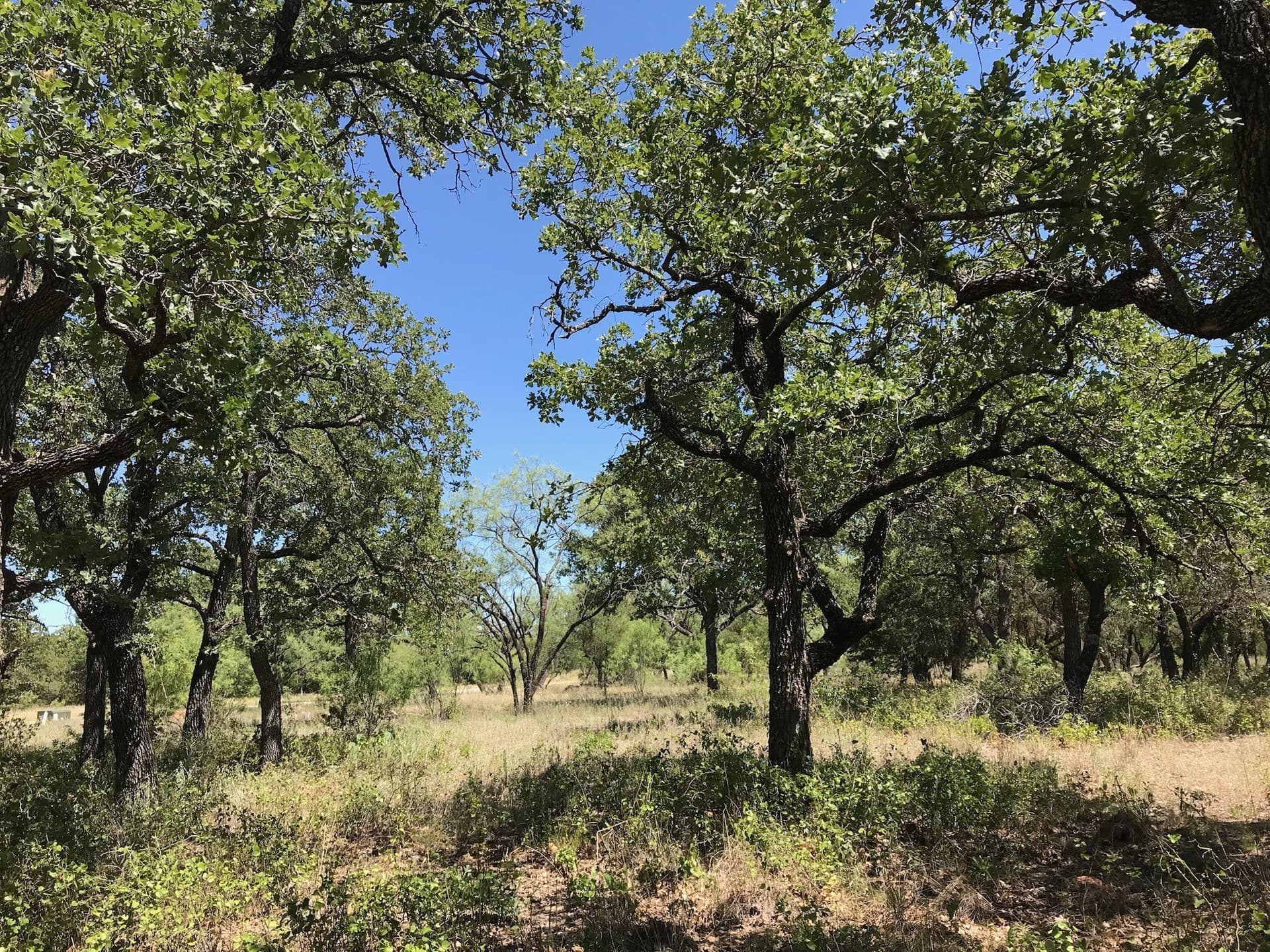 1.34 acres in Palo Pinto County - photo 10