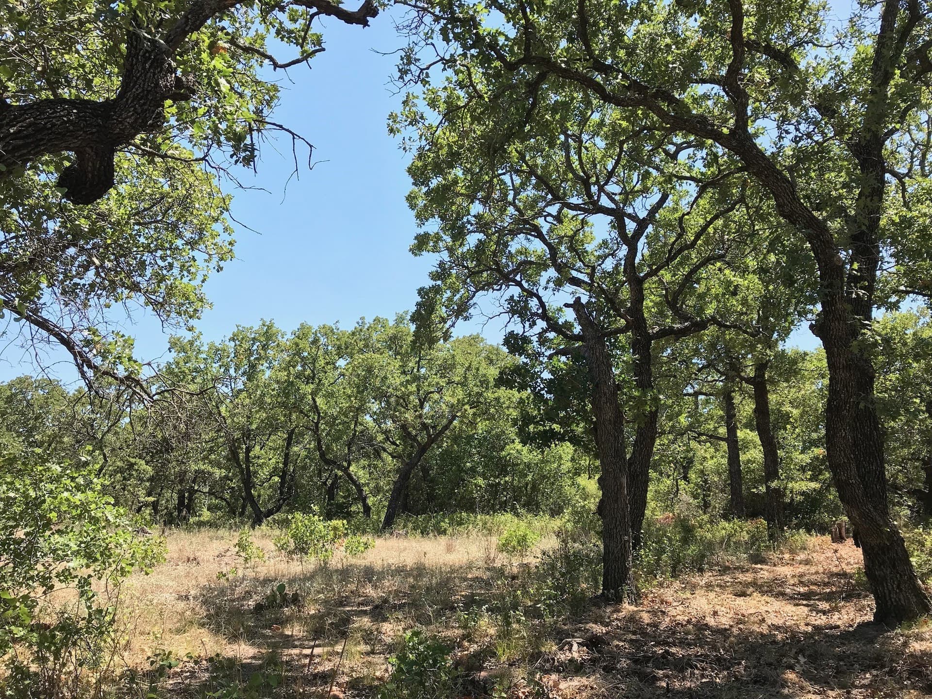 1.34 acres in Palo Pinto County - photo 11