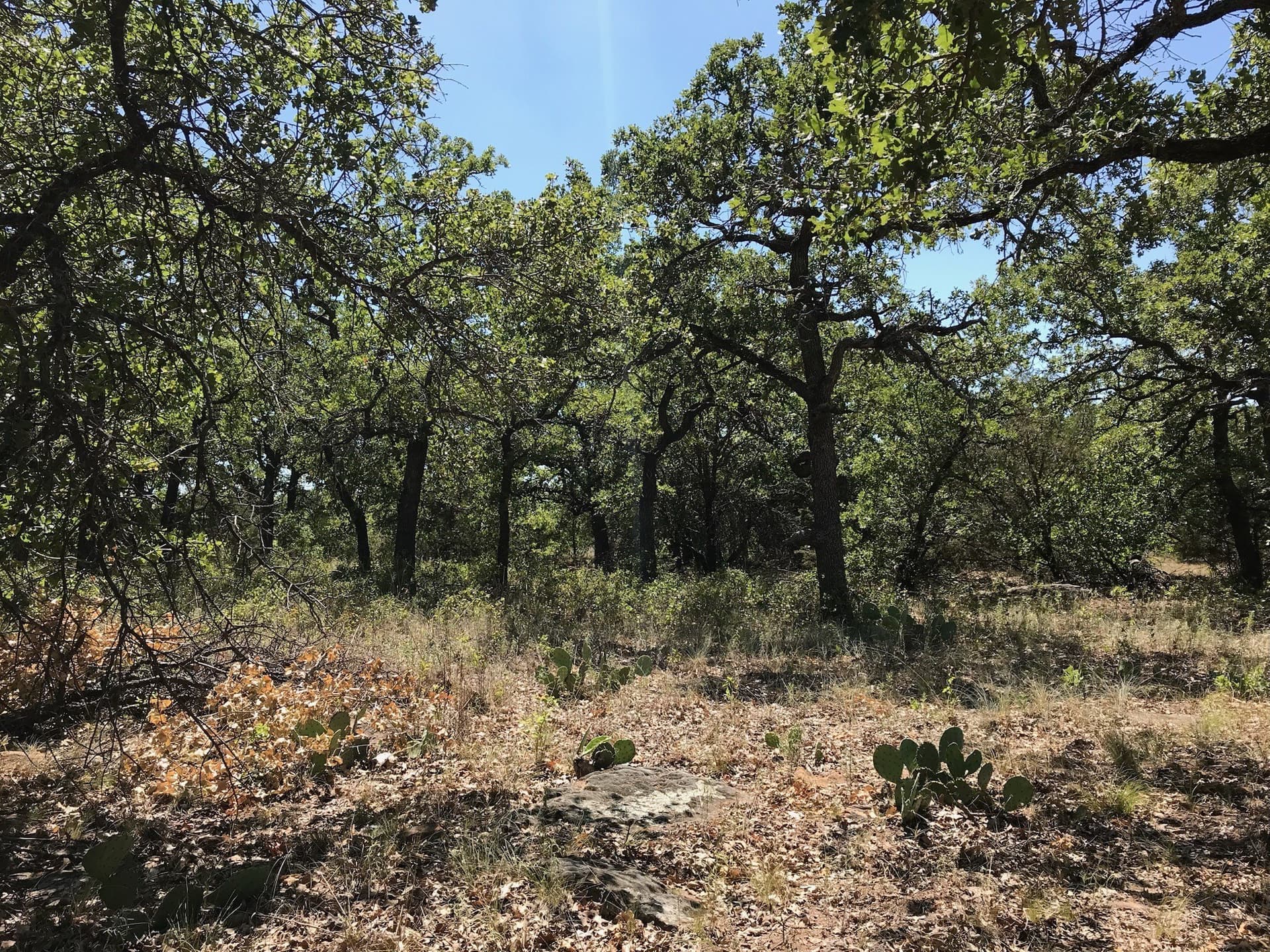 1.34 acres in Palo Pinto County - photo 12