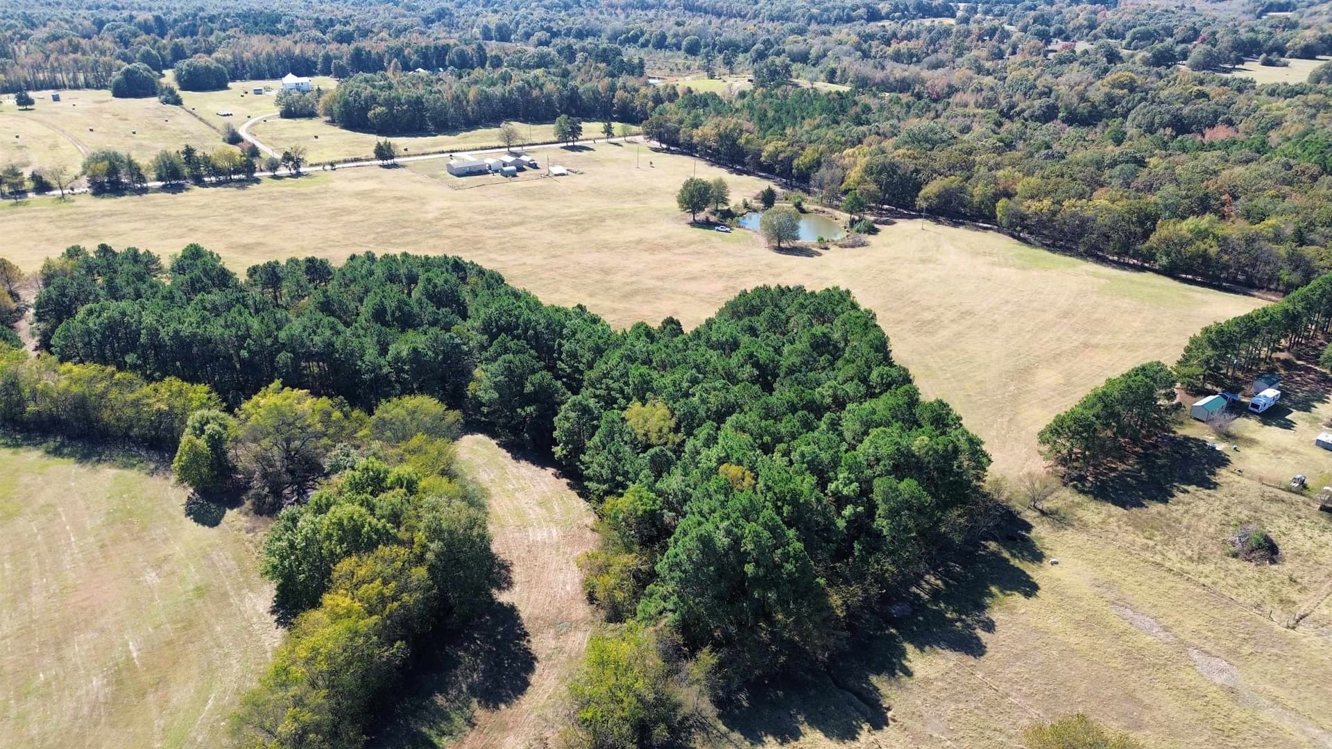 4.17 acres in Titus County gallery image 3