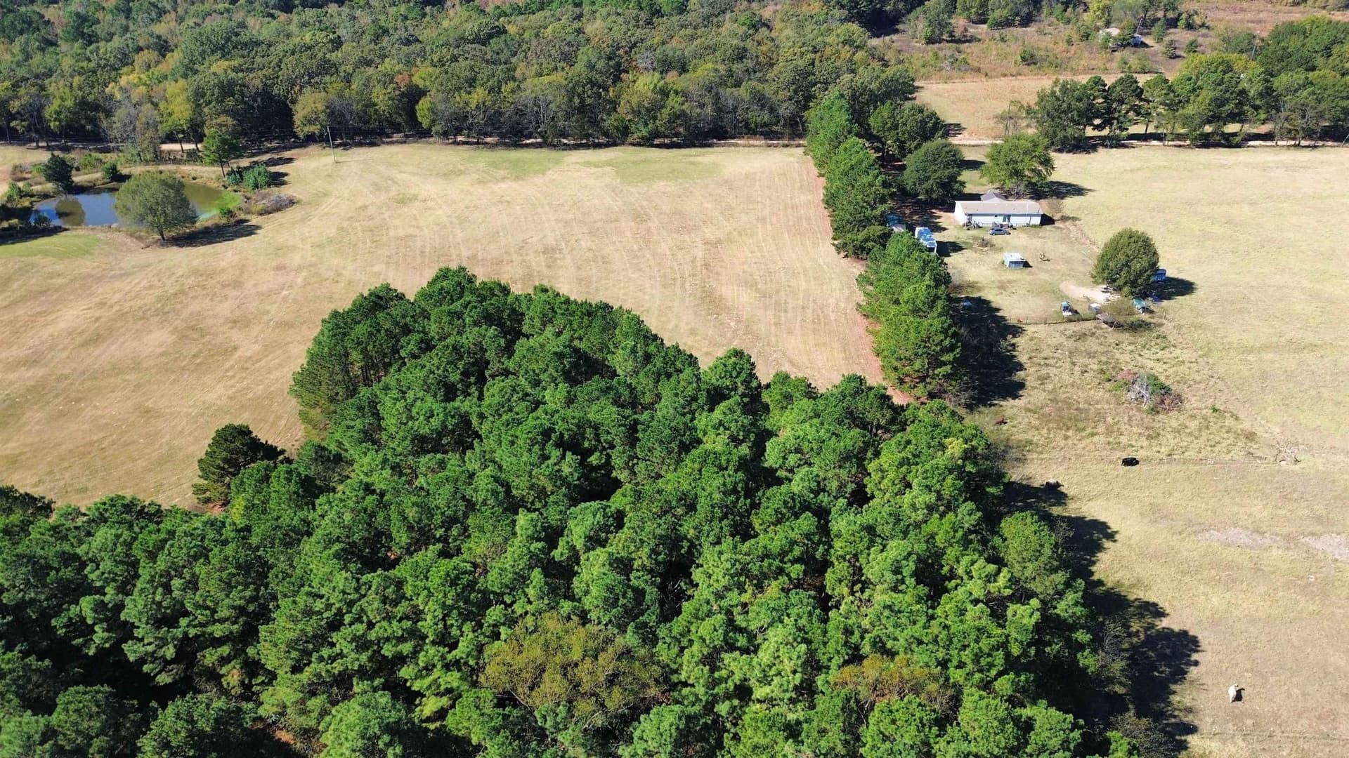 4.17 acres in Titus County gallery image 2