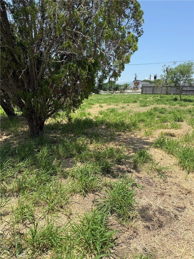 0.23 acres in San Patricio County gallery image 2