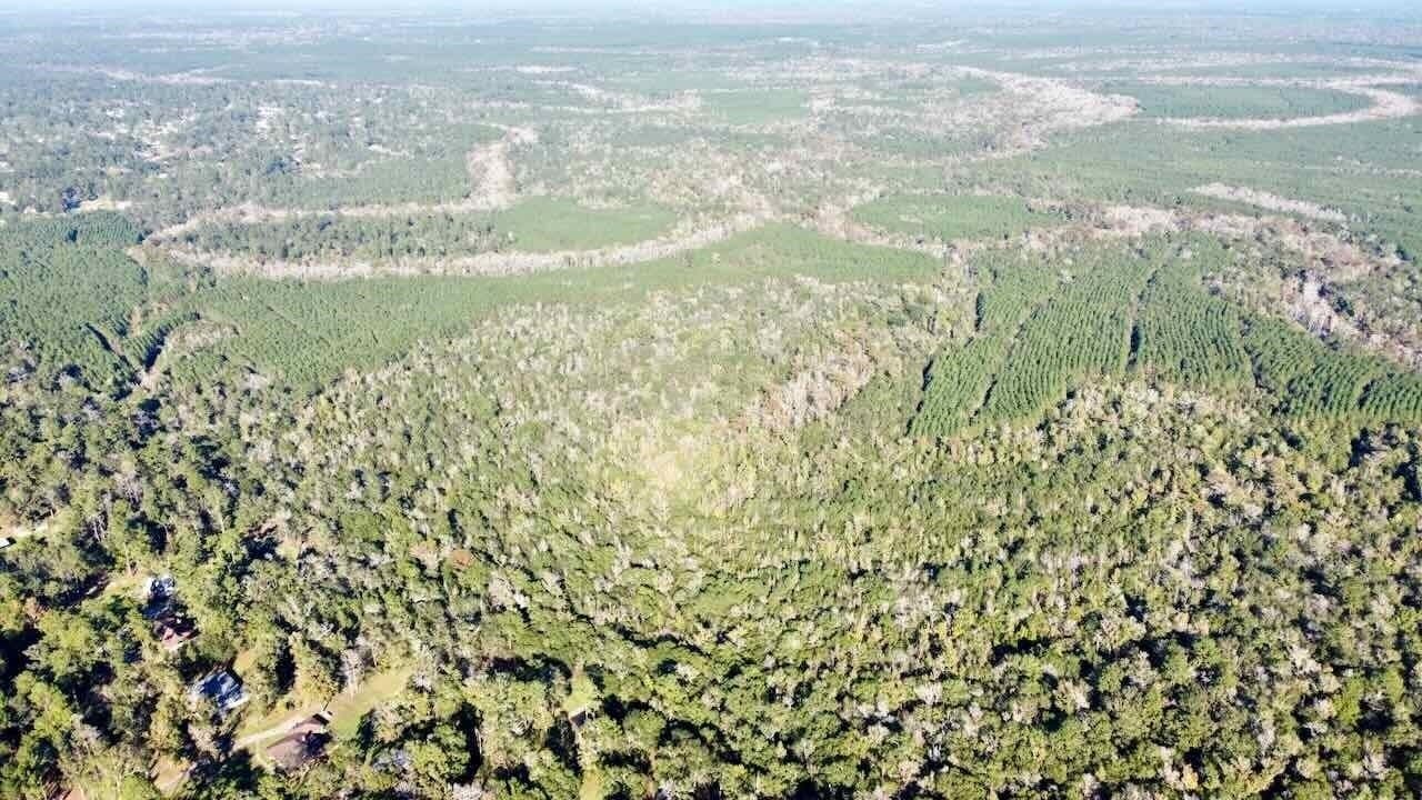 1.04 acres in Texas County gallery image 4