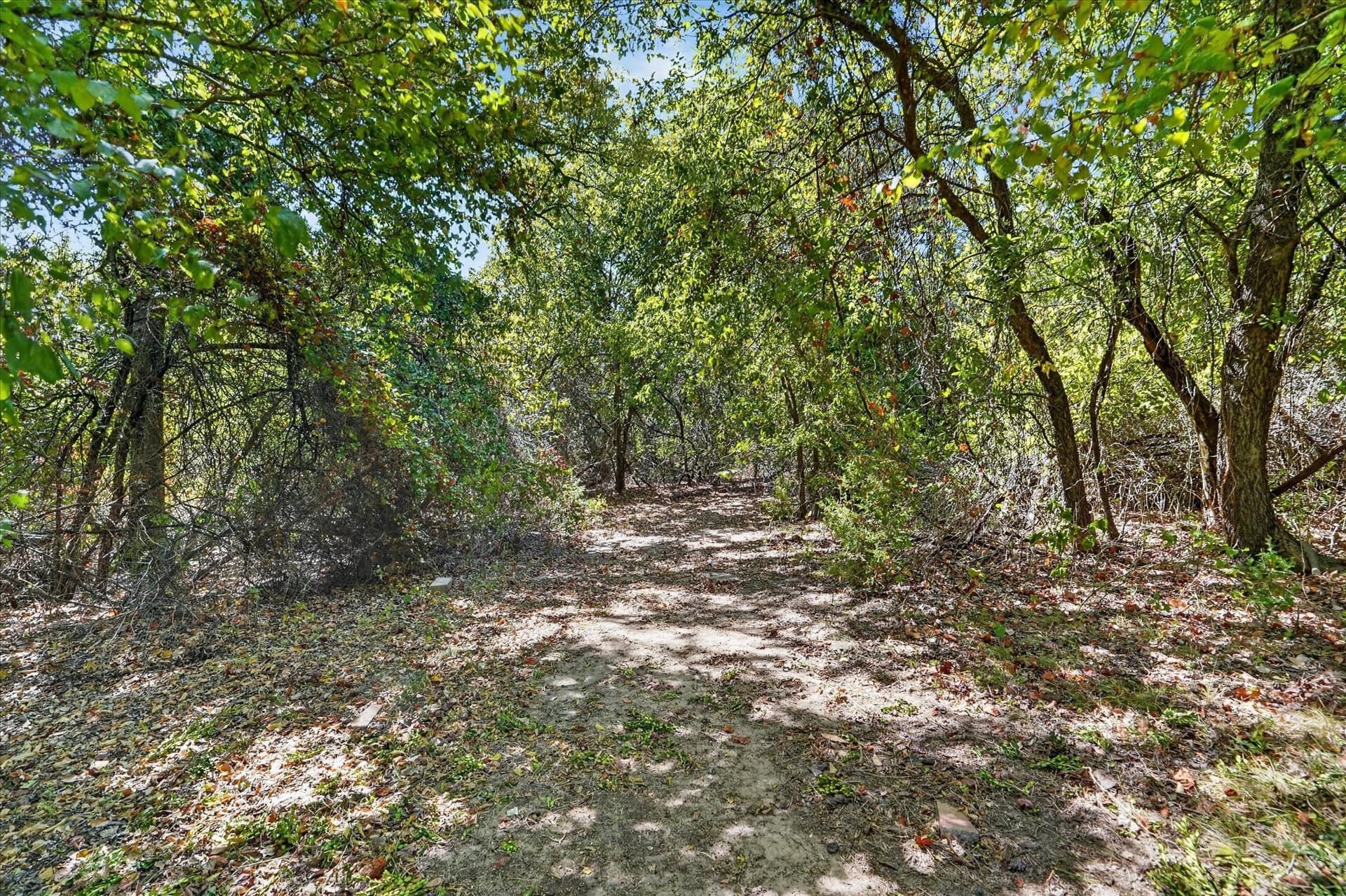 11.55 acres in Wise County - photo 34