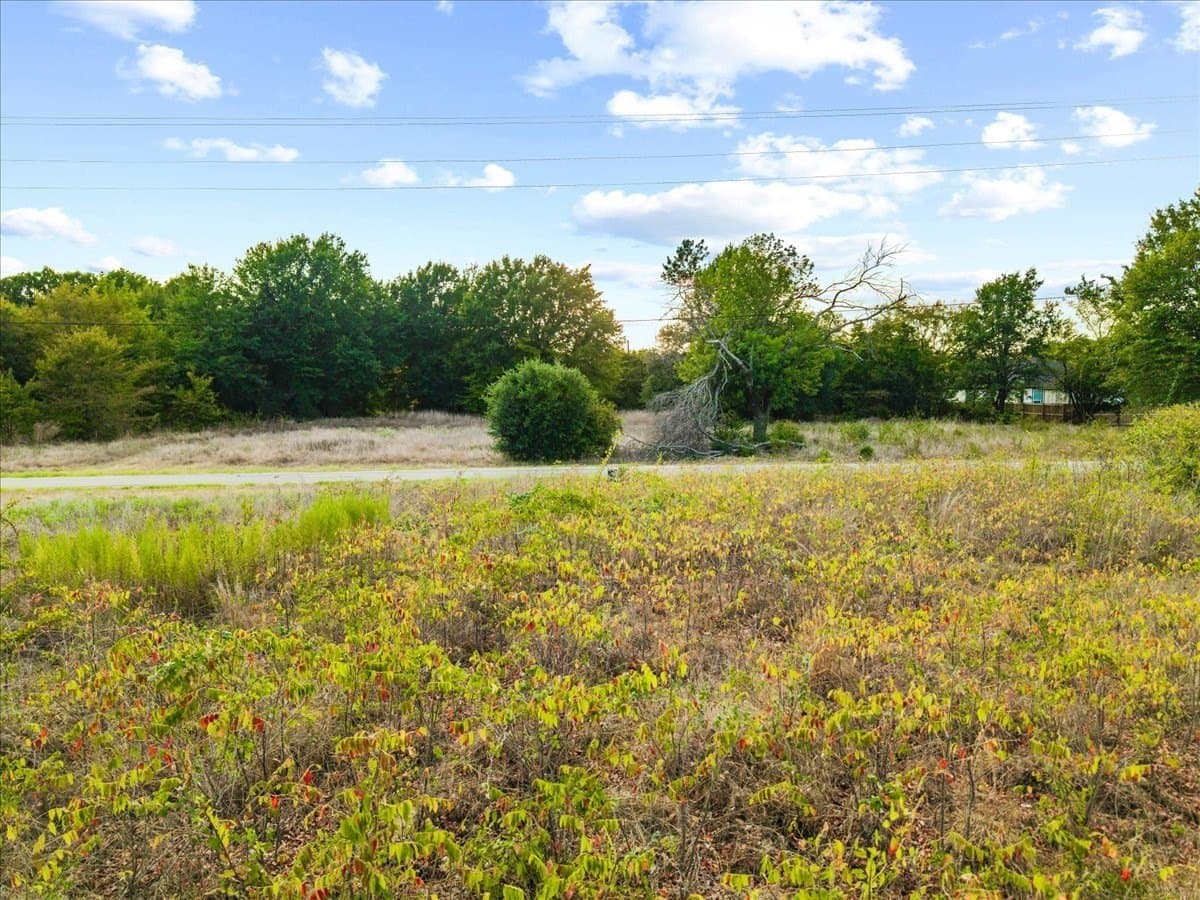 0.22 acres in Henderson County - photo 9