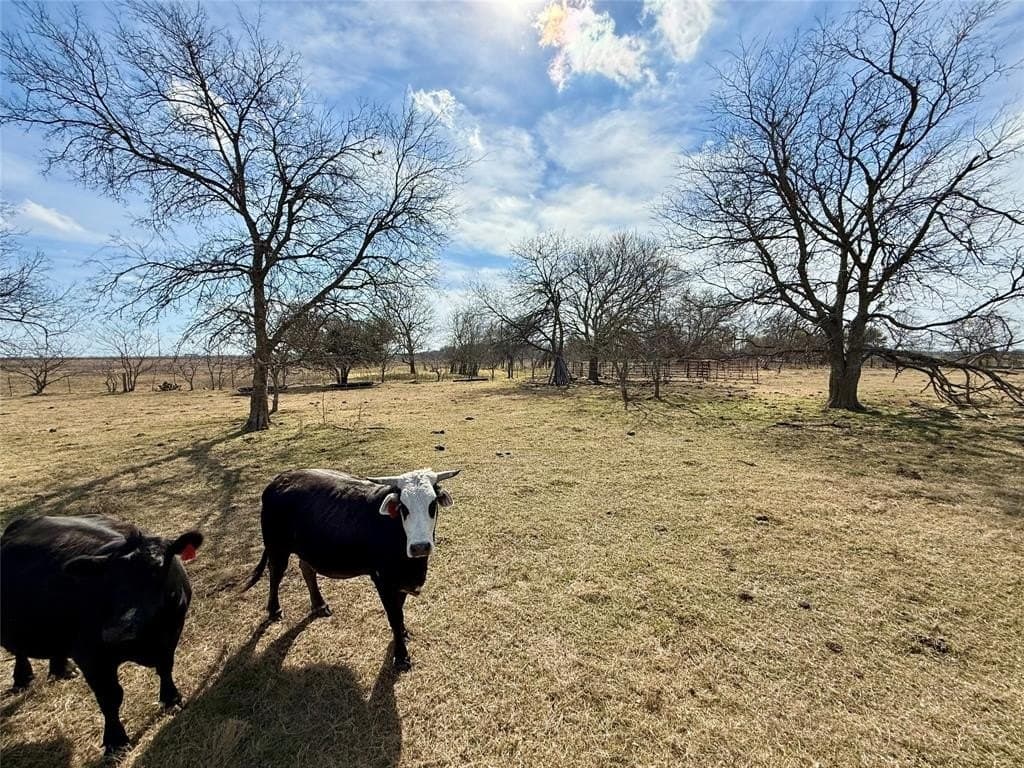 20.5 acres in Limestone County featured view