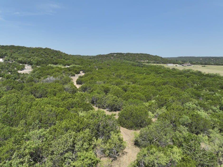 44 acres in Taylor County - photo 17
