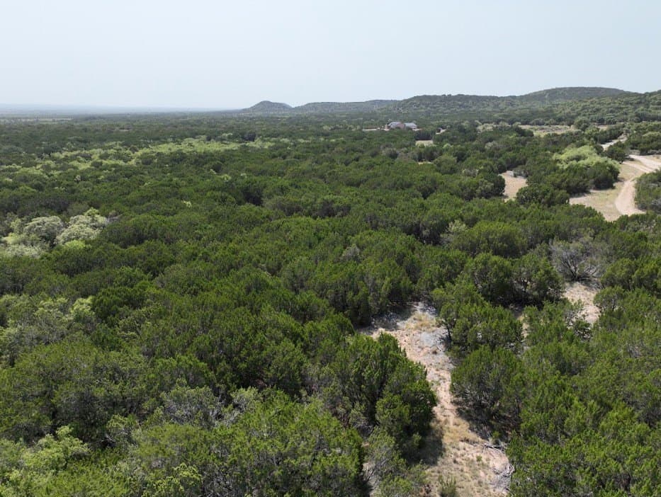 44 acres in Taylor County - photo 13