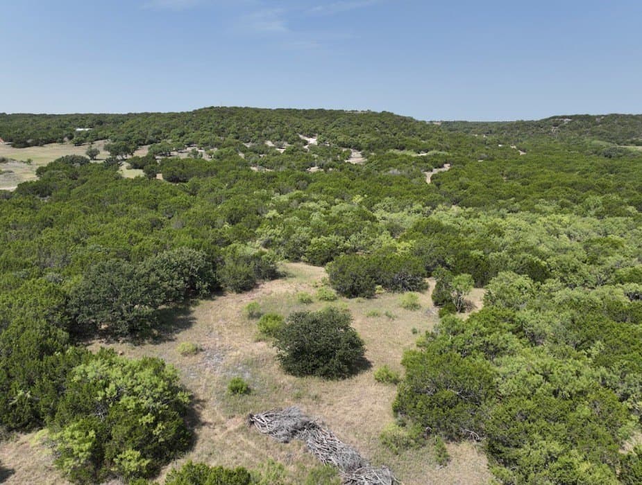 44 acres in Taylor County - photo 11