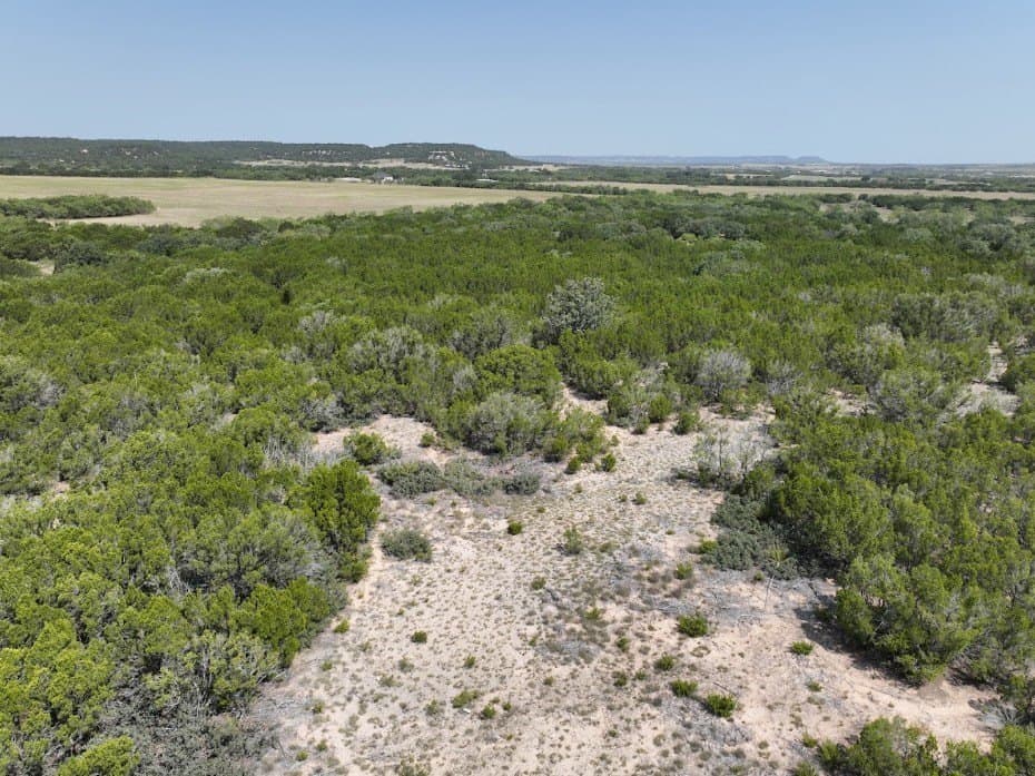 44 acres in Taylor County - photo 8