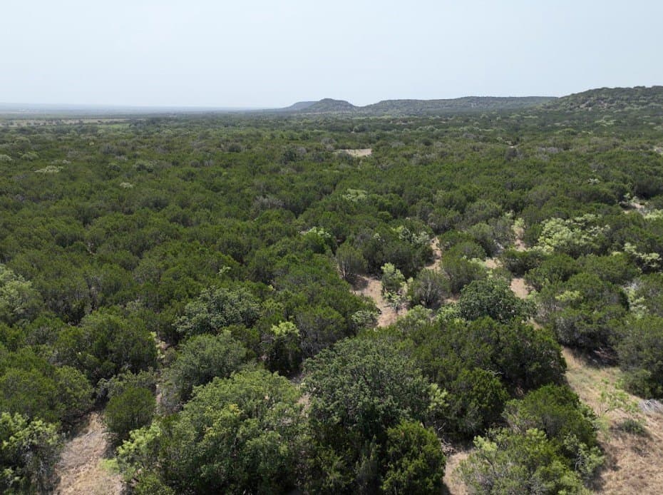 44 acres in Taylor County - photo 14