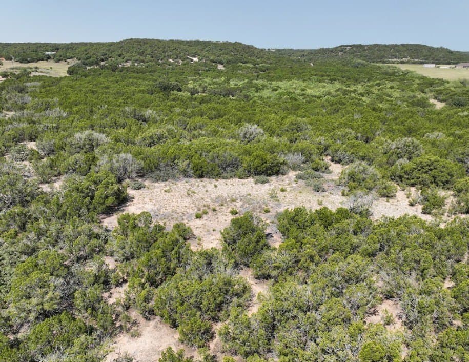 44 acres in Taylor County - photo 18