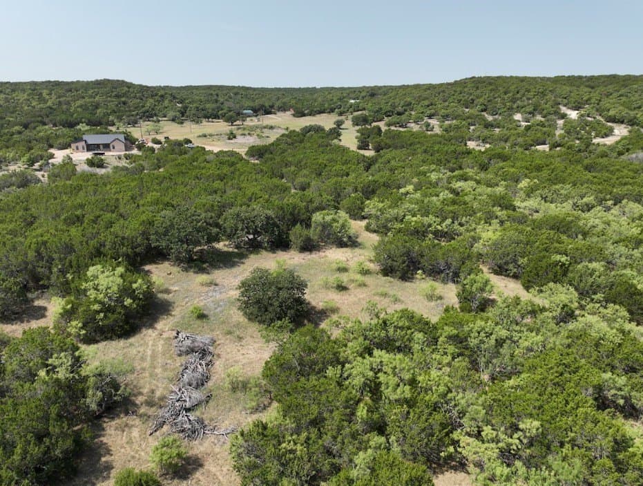 44 acres in Taylor County - photo 12