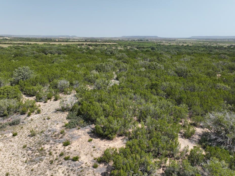 44 acres in Taylor County - photo 6