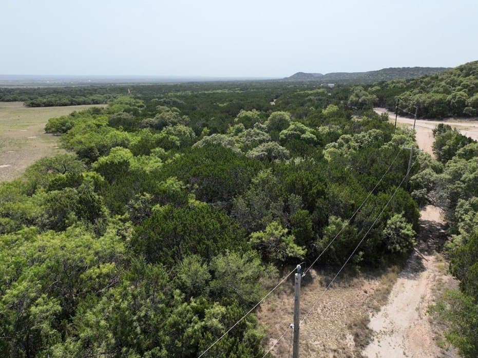 44 acres in Taylor County - photo 4