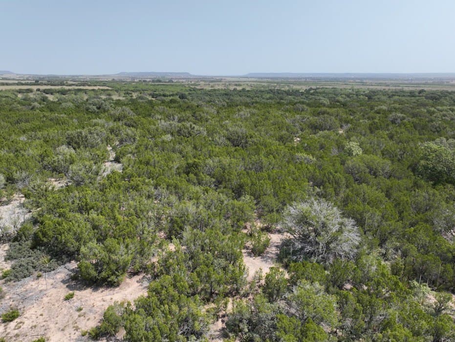 44 acres in Taylor County - photo 7