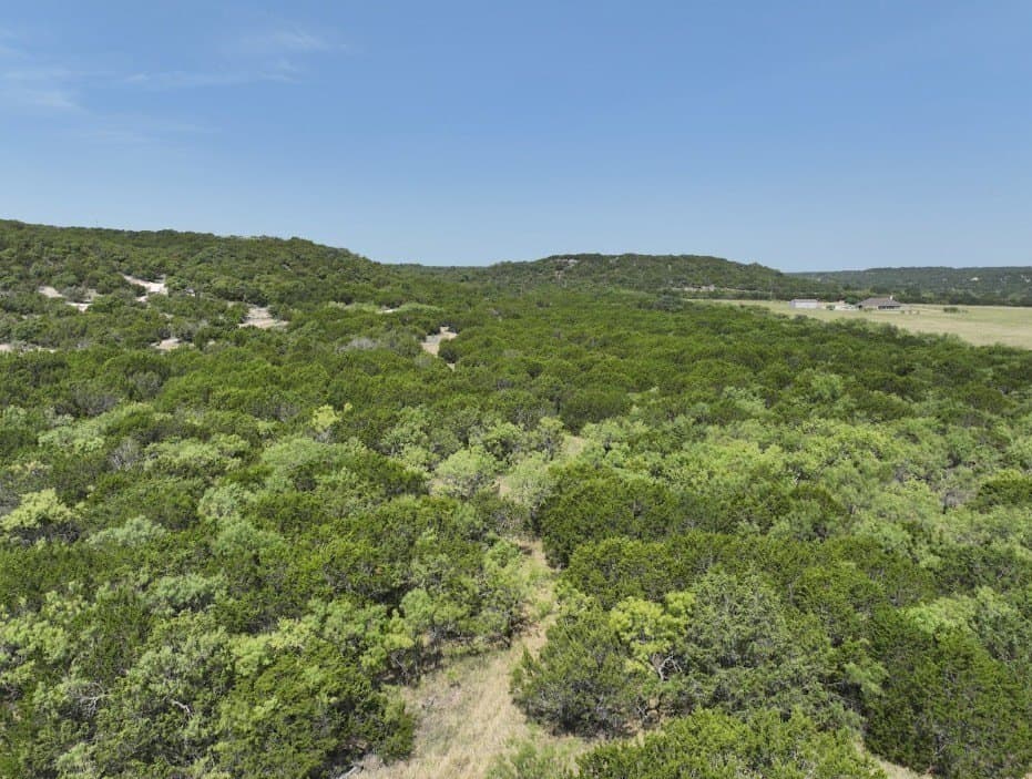 44 acres in Taylor County - photo 16