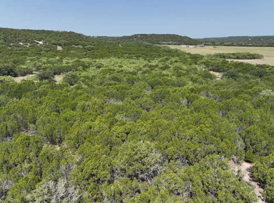 44 acres in Taylor County - photo 9