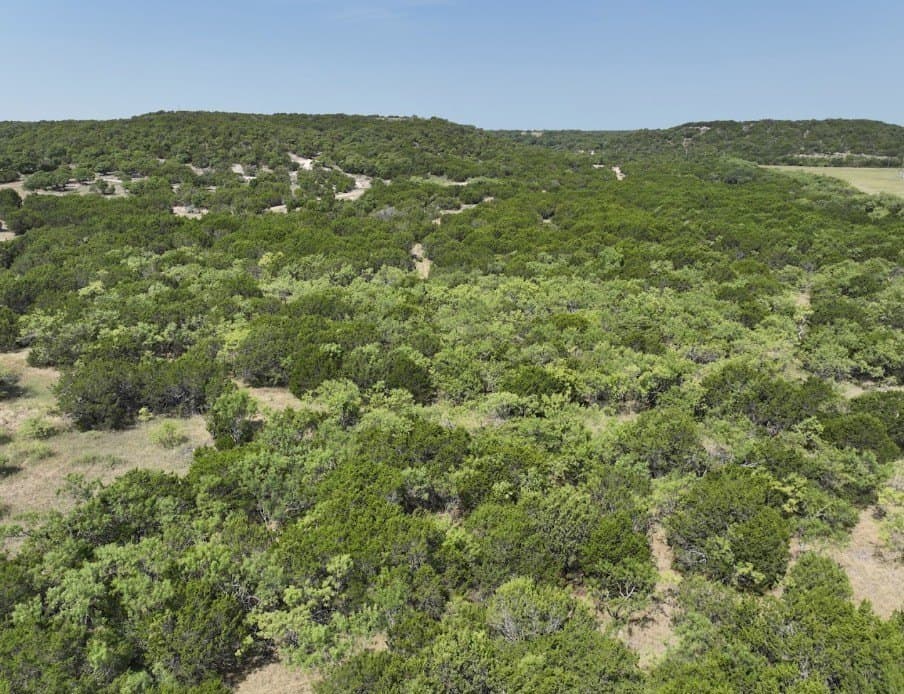 44 acres in Taylor County - photo 15