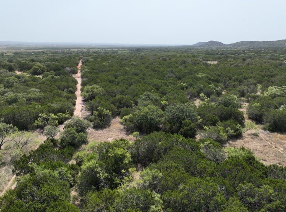 44 acres in Taylor County - photo 5