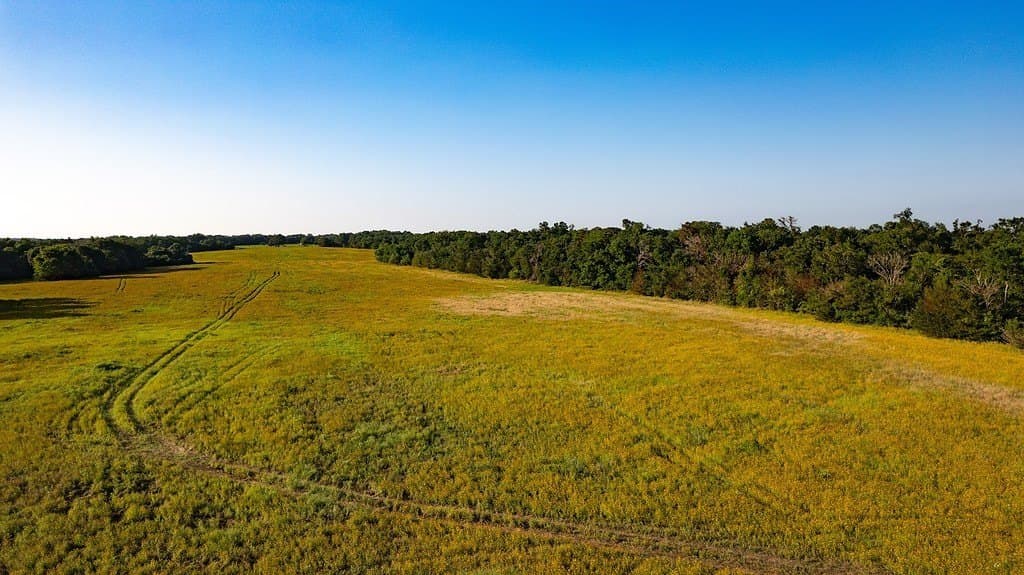 3.33 acres in Milam County gallery image 2
