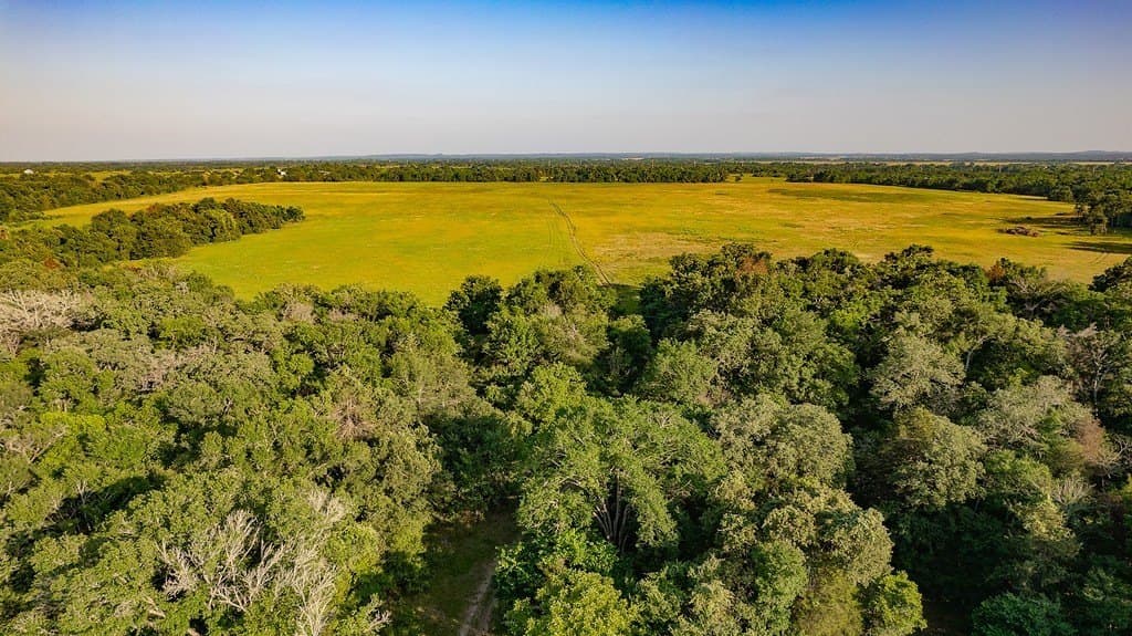 3.33 acres in Milam County featured view