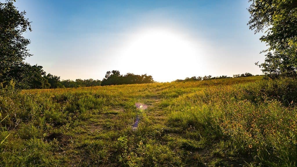 3.33 acres in Milam County