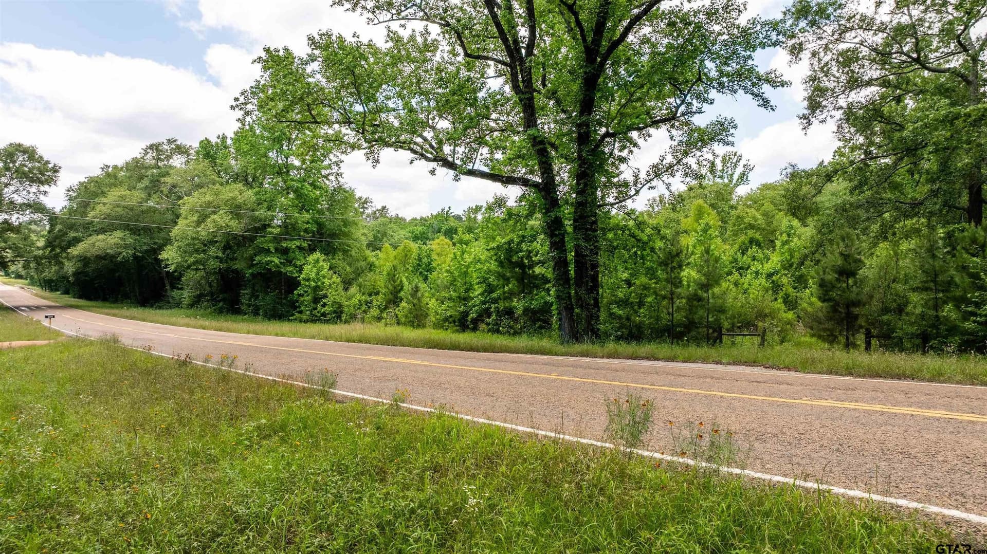 7.9 acres in Anderson County gallery image 2